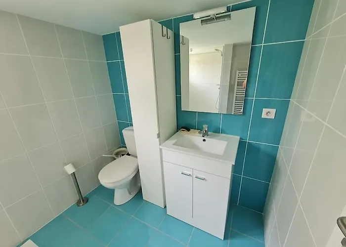 Appt 2 Pieces Avec Jardin Apartman
