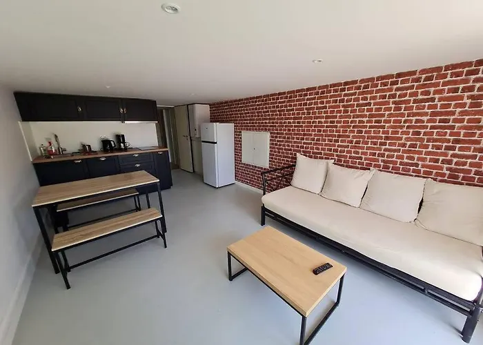 公寓 Appt 2 Pieces Avec Jardin